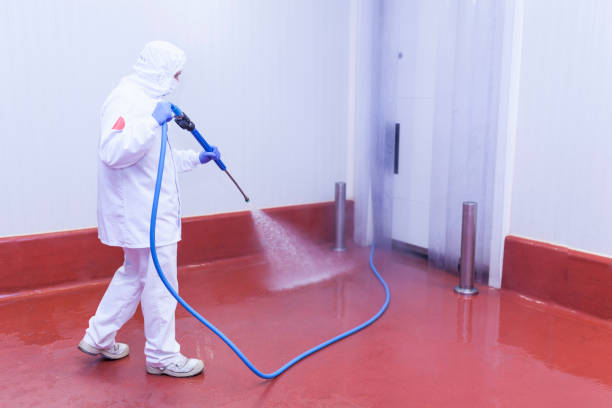 Best Boat and Dock Cleaning  in South Hooksett, NH
